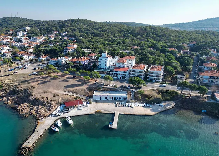 çamlık 87 Ayvalık *